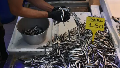 Kilosu 150 liradan satışta:  Taze taze tezgahta