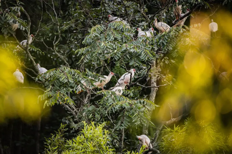 “Haydi! Yeşil Gelecekler” fotoğraf yarışmasının ödülleri açıklandı 32 “Haydi! Yeşil Gelecekler” fotoğraf yarışmasının ödülleri açıklandı 32