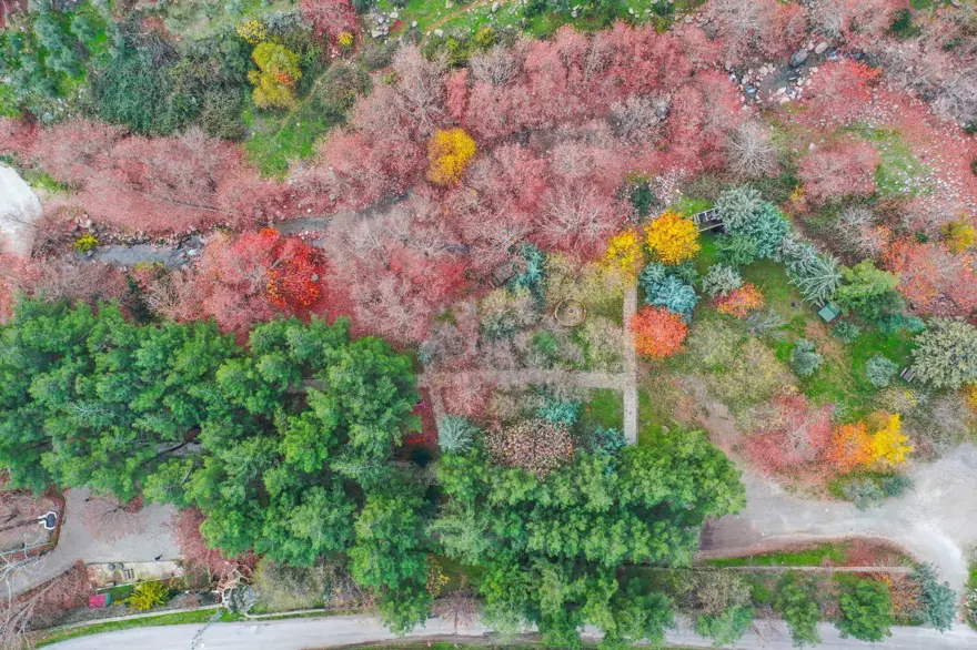 Amanoslar manzarasıyla fotoğraf tutkunlarının adresi oldu 5