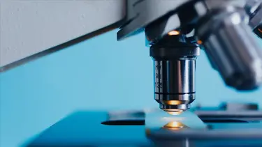 Türk bilim insanları "yapay tendon" geliştirmek için çalışıyor