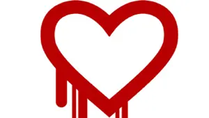 İnternetteki tüm bilgiler tehlike altında