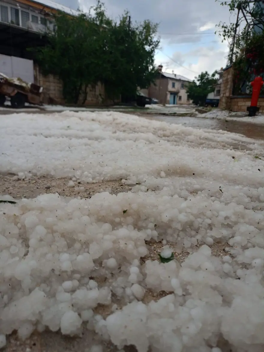Dolu yağışı ekili arazileri beyaz örtüyle kapladı 5 Dolu yağışı ekili arazileri beyaz örtüyle kapladı 5