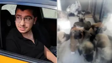 Sahiplendiği köpekleri katleden doktora 9 yıl 9 ay hapis cezası