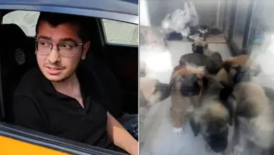 Sahiplendiği köpekleri katleden doktora 9 yıl 9 ay hapis cezası