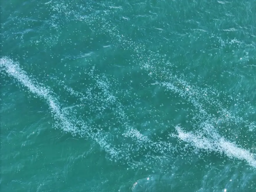İstanbul açıklarında endişe yaratan görüntü: Sarayburnu’ndanBakırköy’e kadar uzanıyor 7