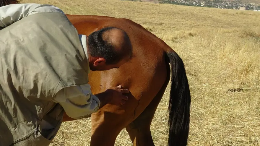 Batman'da ata tüfekli saldırı (Vücudundan 18 saçma çıktı) 2