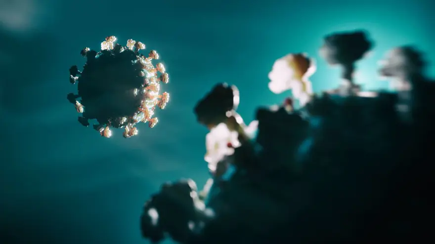 Belirsiz Covid-19'un nedeni genetik | Belirti göstermeyenlerde bağışıklık geni etkili oluyor 16