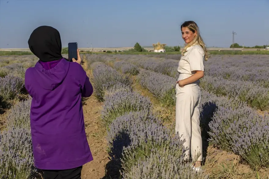 Diyarbakır'ın yeni cazibe merkezi: Lavanta bahçeleri 15