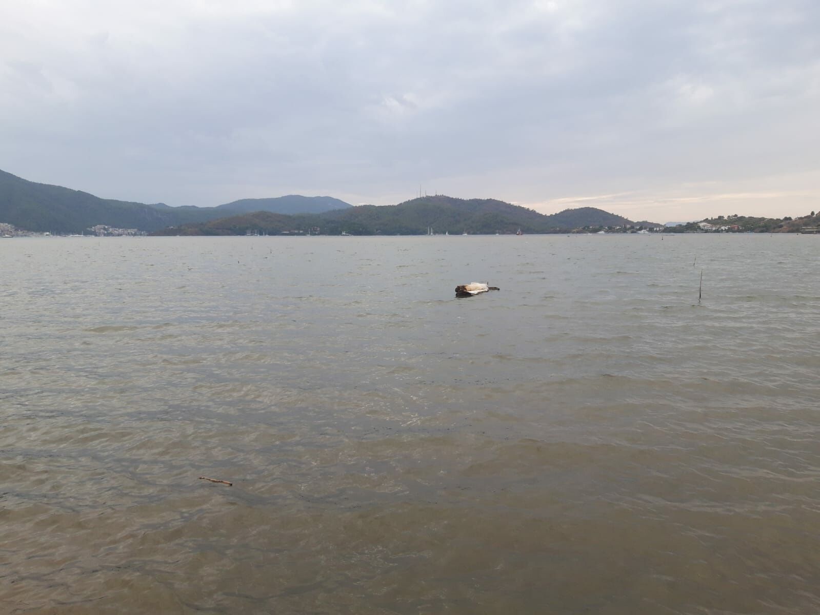 Fethiye'de sel suları, denizin rengini değiştirdi