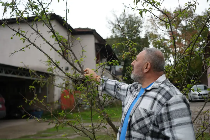 Bahçesinde ilginç olay yaşadı: "Bu mevsimde de erik yemedik demeyiz" 4 Bahçesinde ilginç olay yaşadı: "Bu mevsimde de erik yemedik demeyiz" 4