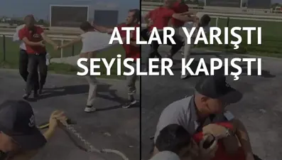 Seyislerin tekmeli yumruklu kavgası kamerada