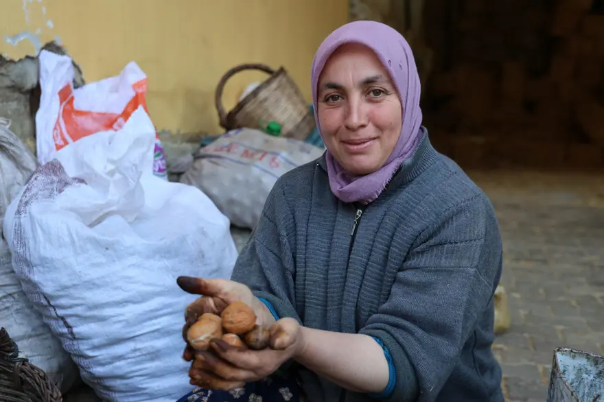 Tek tek toplayıp satışa hazırlıyorlar: En önemli geçim kaynaklarından biri 3