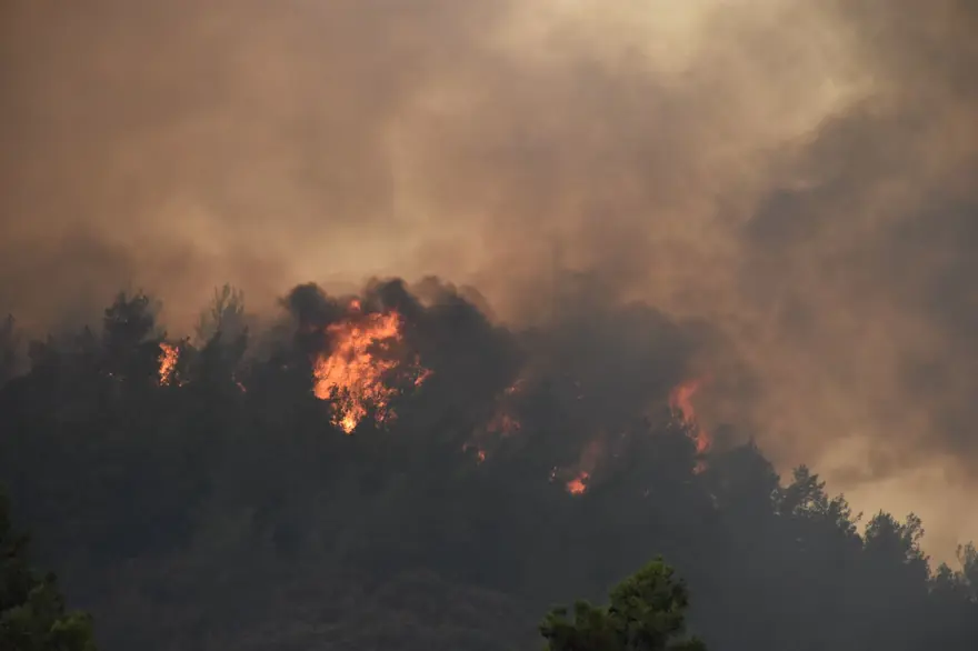 Marmaris'te orman yangını: Alevlerle mücadelede 2. gün 63 Marmaris'te orman yangını: Alevlerle mücadelede 2. gün 63