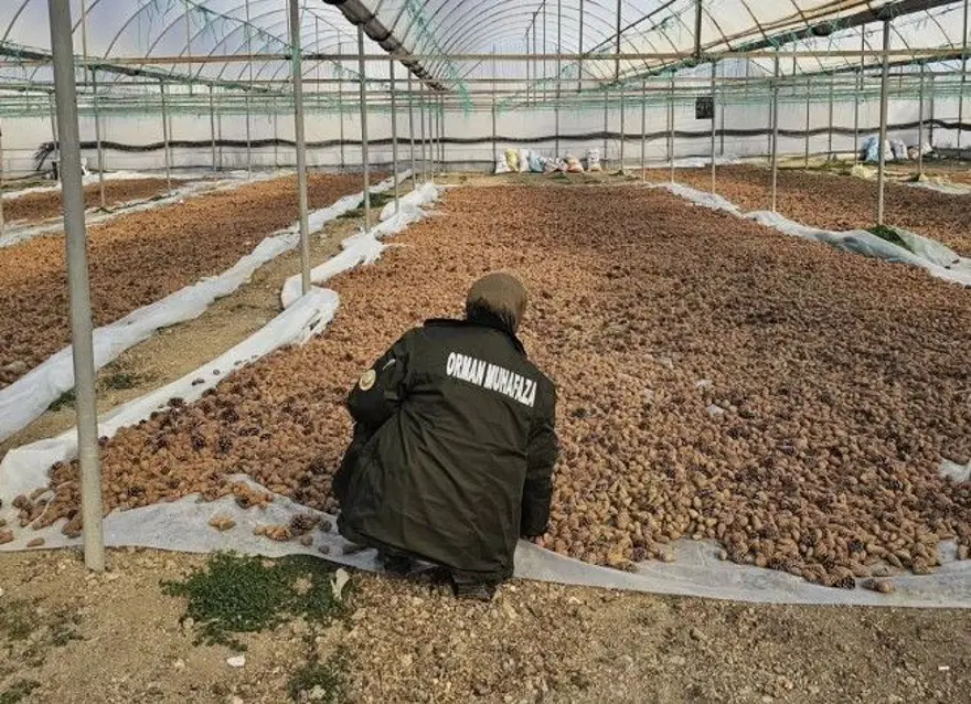 OGM BAŞVURU SONUCU SORGULAMA 2