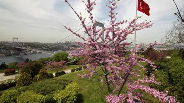 Dünya kongre şehirleri içinde ilk 10'da