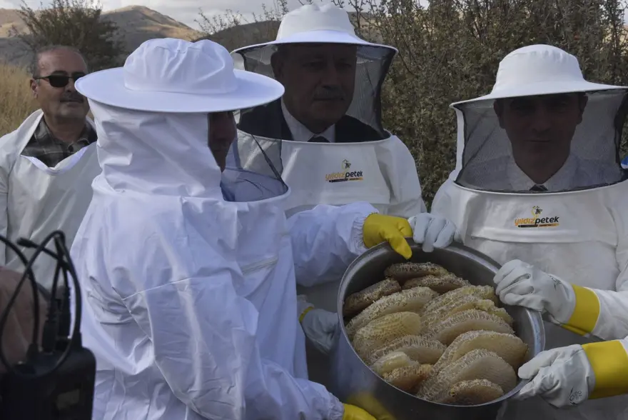 Ünü dünyanın dilinde, hasadı başladı: Türkiye'de ilk sırada 4