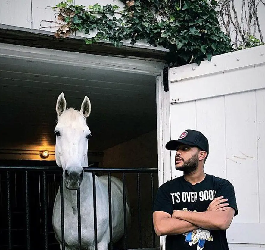 Bella Hadid ile The Weeknd ilişkisine Yolanda Hadid onayı 10