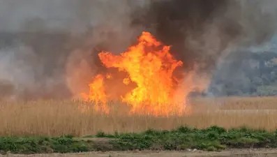 Milliparkta yangın: Alevler metrelerce yükseldi