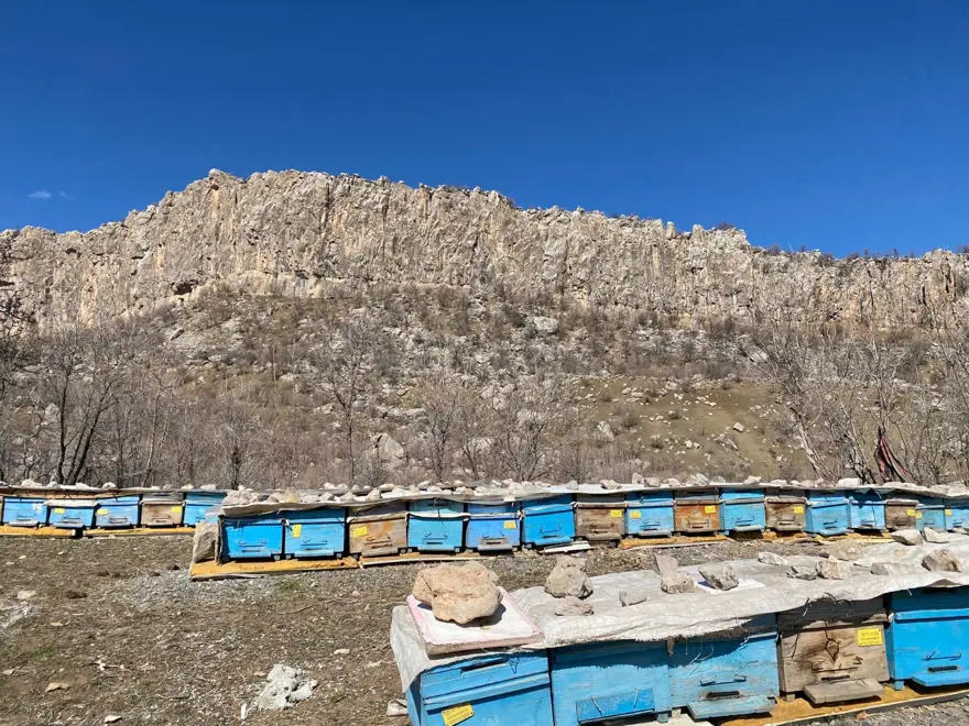30 yıldır yoğun mesai harcıyor: "İlk başladığımda birçok zorlukla karşılaştım, ama yılmadım" 1