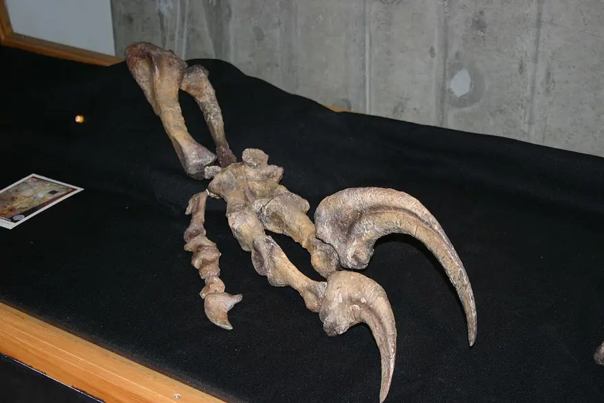 İLK KEZ 1996'DA KEŞFEDİLDİ 3