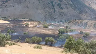 Hakkari’de anız yangını