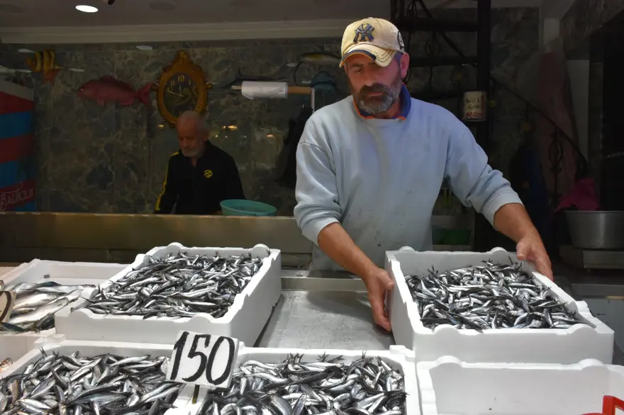 Kilosu 150 liradan satışta:  Taze taze tezgahta 3