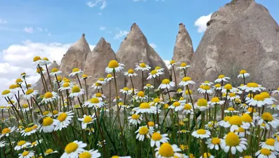 İlkbahar ekinoksu nedir, ne zaman gerçekleşir? (21 Mart ilkbahar gündönümü)