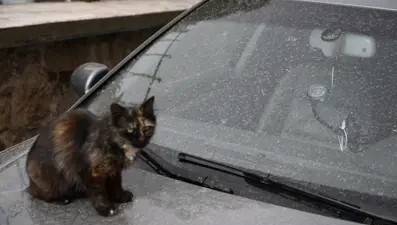 Edirne'ye çamur yağdı