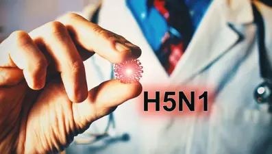 İngiltere'de kuş gribi alarmı: Bir koyunda H5N1 doğrulandı