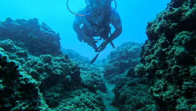 Fotoğraf tutkunu dalgıçlar, Mersin kıyılarındaki su altı kanyonlarını görüntülüyor