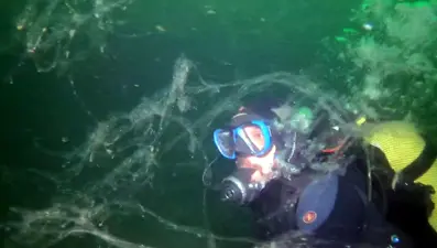 Marmara ölüyor: Müsilaj istila etti