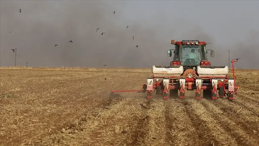 TEMEL DESTEK NE KADAR? 3 TEMEL DESTEK NE KADAR? 3