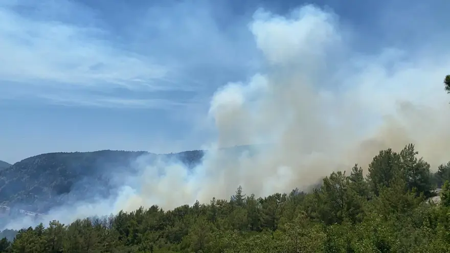Antalya'daki orman yangını kontrol altında 7