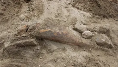 Amasya'da bulunan cisimler için mamut fosili heyecanı