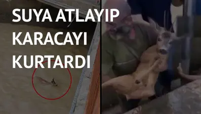 HES havuzuna düşen karacayı fabrika işçisi kurtardı