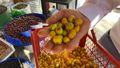 Mevsim geçişlerinde soluğu aktarda alıyorlar: Alıç, bitki çayları, propolis...