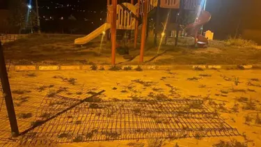 Çocuk parkında ayı paniği