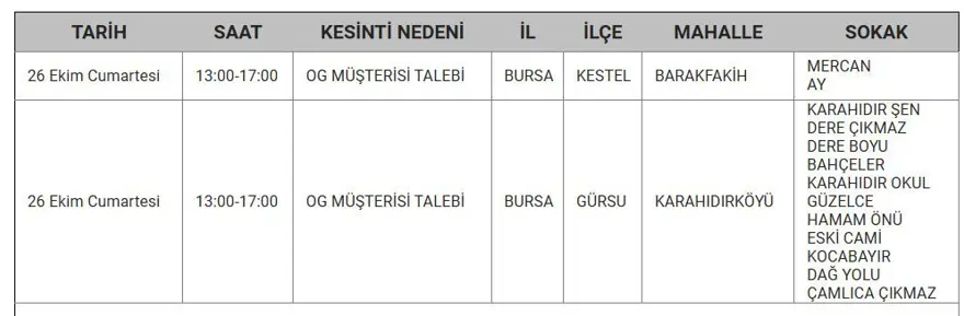 Bursa'nın 8 ilçesinde elektrik kesintisi: Bursa'da elektrikler ne zaman gelecek? 9