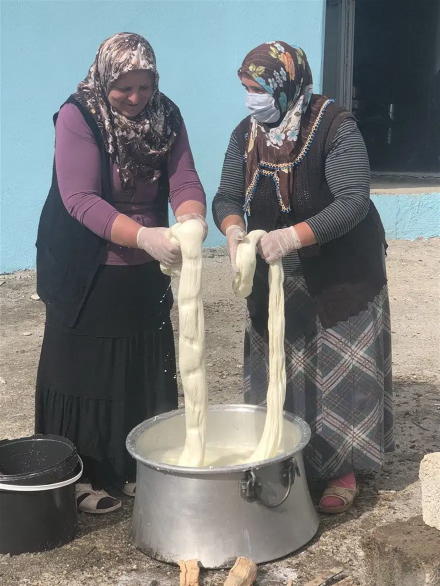 Kars'ta her mevsim kaşar ve tulum peyniri üretimi: Üç gün tuzda kalıyor, iki ay depoda bekliyor 11