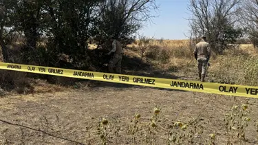 Edirne'de korkunç olay: Ayçiçeği tarlasında kadın cesedi bulundu