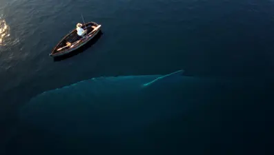 UFO'nun gizemli akrabası: Tanımlanamayan Batık Nesneler!