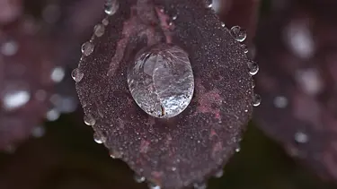 Su kıtlığı yaşanacak