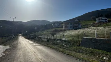 Çoban köpekleri saldırdığı adamı öldürdü