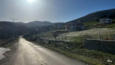 Çoban köpekleri saldırdığı adamı öldürdü