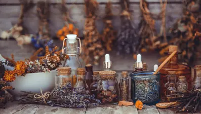 Asel-i Musafaa'yı bulursan 15 yaşına geri dönersin (NTV Tarih)