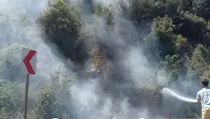 Çalılıkları ateşe verdi, faciadan dönüldü Çalılıkları ateşe verdi, faciadan dönüldü