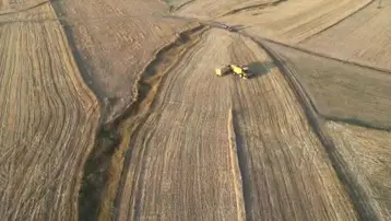 Rekolte beklentinin altında kaldı: Ardahan'da hasat sürüyor