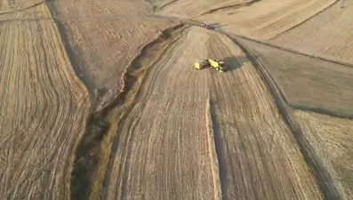 Rekolte beklentinin altında kaldı: Ardahan'da hasat sürüyor