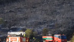 Antalya, Muğla ve Gaziantep'te orman yangını