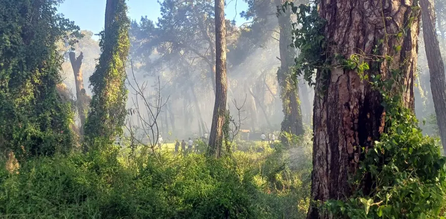 Manavgat’ta oteller bölgesine yakın noktada orman yangını Manavgat’ta oteller bölgesine yakın noktada orman yangını